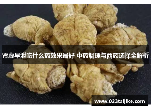 肾虚早泄吃什么药效果最好 中药调理与西药选择全解析